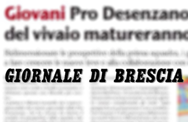 Pro Desenzano - Giornale Di Brescia