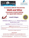 walk and wine Polpenazze 2giu2014